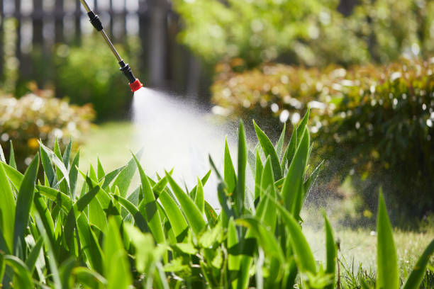 24/7 Emergency Mosquito Control experts in Cicero, IN